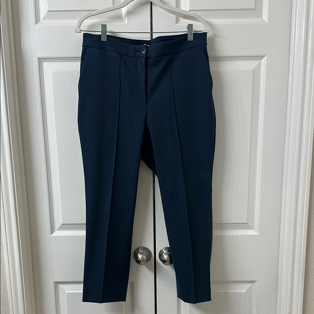 Express Navy Cropped Pants